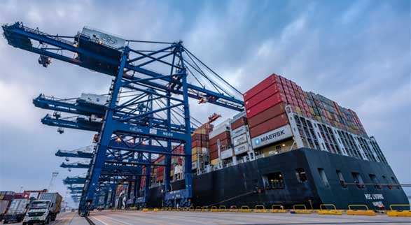 Applications of Elastomer Bellow Seals