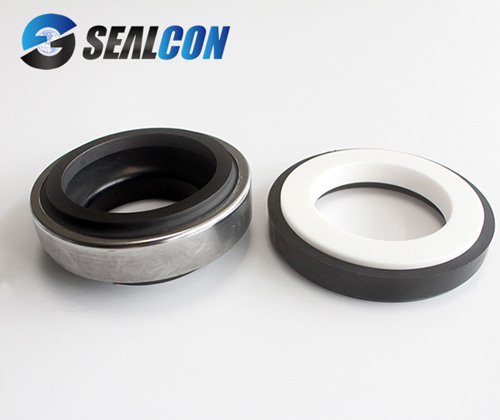 elastomer bellows seal
