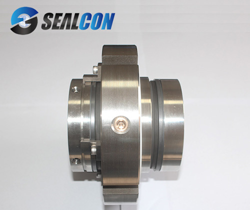 dual mechanical seal

